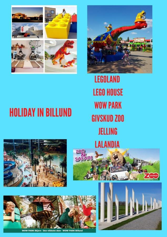 300Meter Walk To Lego House - 70M2 Apartment With Garden ビルン エクステリア 写真