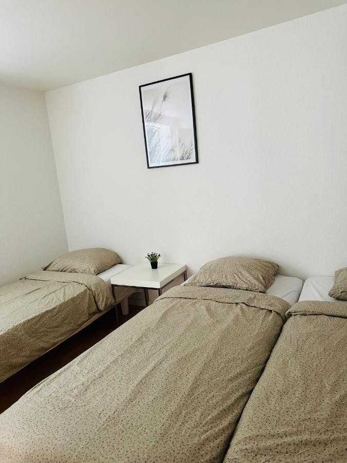 300Meter Walk To Lego House - 70M2 Apartment With Garden ビルン エクステリア 写真