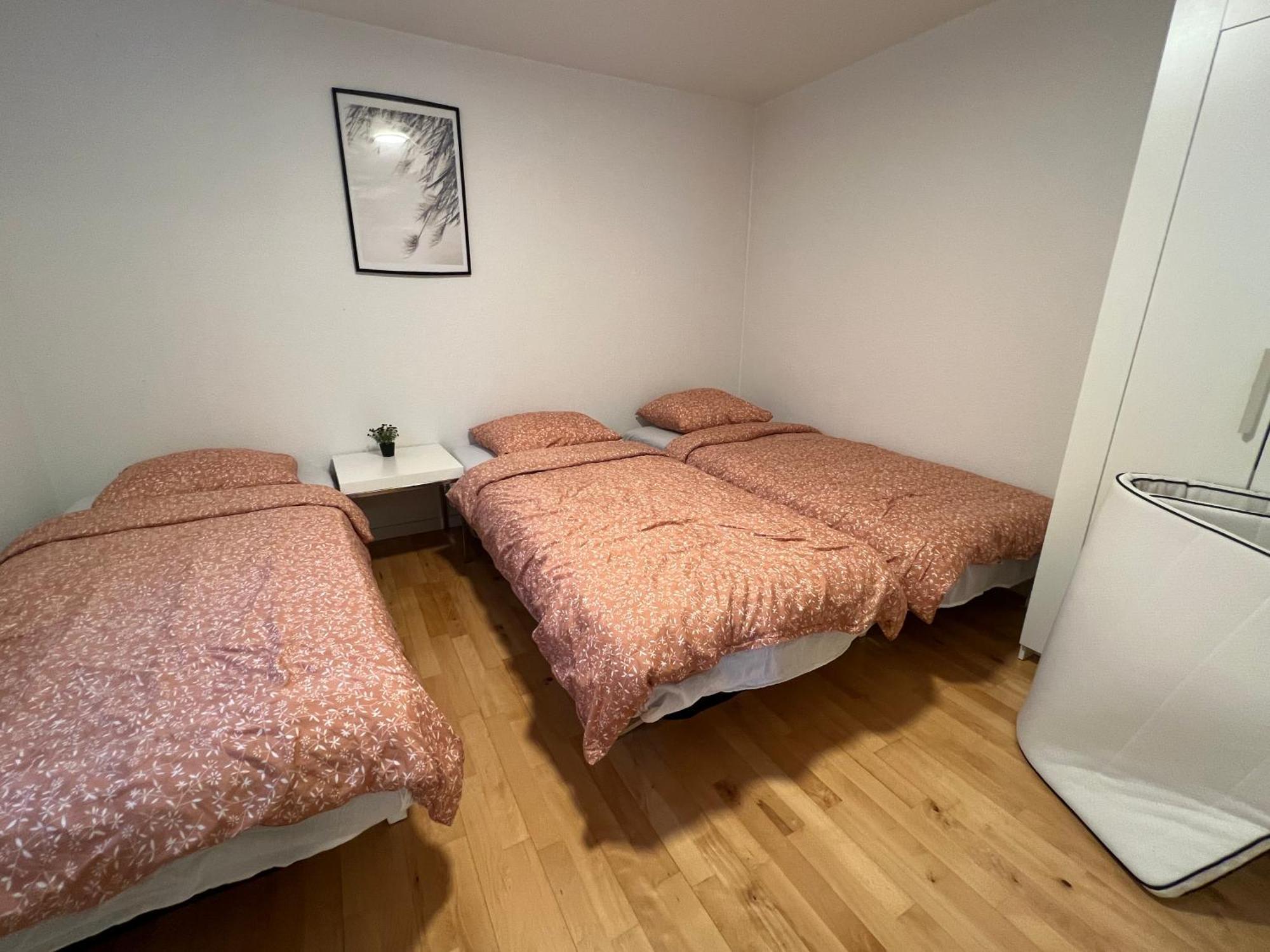 300Meter Walk To Lego House - 70M2 Apartment With Garden ビルン エクステリア 写真